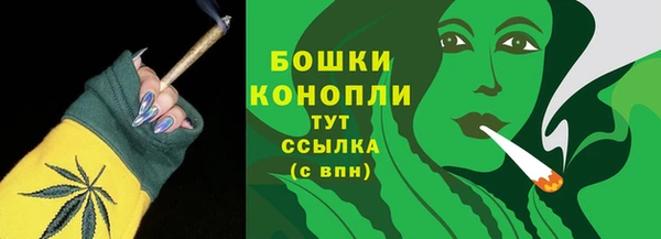 тгк Богородицк