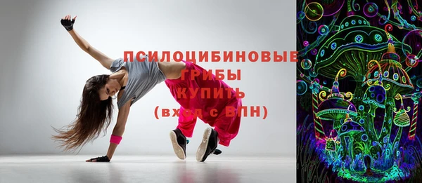 тгк Богородицк