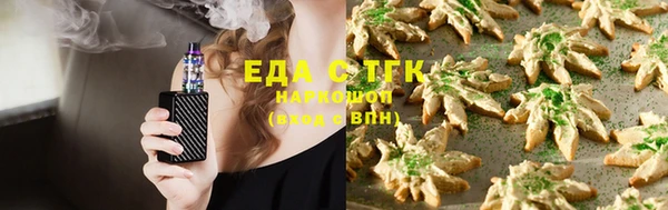 тгк Богородицк