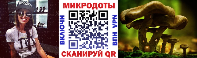 mega ссылки  Ярославль  Галлюциногенные грибы Psilocybine cubensis 